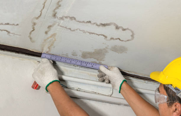 Reliable Sewage Cleanup contractor in Bidwell, OH by Water Damage Irwin